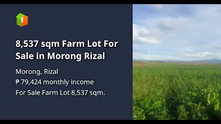 8537 sqm Farm Lot For Sale in Morong Rizal [upl. by Dev]