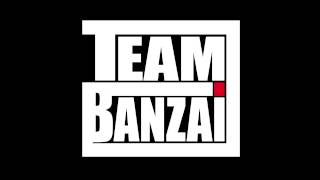 Tom Jones  Shes A Lady TEAM BANZAI Remix [upl. by Avahc228]