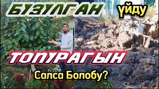 Бузулган Үйду Топурагын Гиласка Салса Болобу Бак Сыры996555887633 [upl. by Violet]