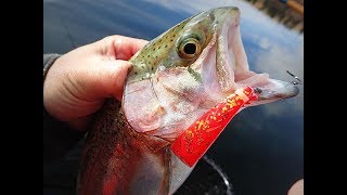 Cascadia Kayak Angler Trolling Superbaits for Rainbow Trout [upl. by Gram902]