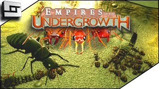 I AM AN ANT GOD Empires of the Undergrowth Gameplay Ep 1 [upl. by Hesther]