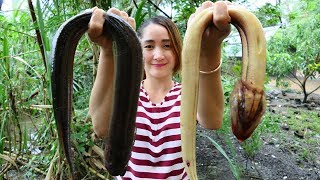 How To Cook Eel Super Delicious Recipe [upl. by Sitoiyanap]