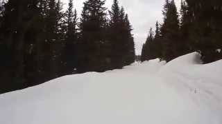 Schladming Planai Piste 8 Weitmoosabfahrt [upl. by Granniah]