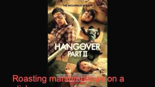 Stus Song Hangover 2 With LYRICS [upl. by Eetak]