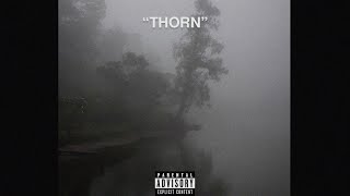 FREE novulent x ekkstacy type beat 2024 quotthornquot [upl. by Orihakat324]