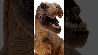 TRex From Papo Toys Roars to Life [upl. by Ahl776]