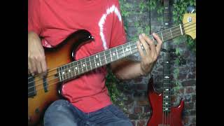 Amii Stewart  Knock On Wood  Bass Cover [upl. by Husch]