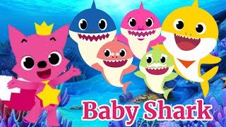 Baby Shark  baby Shark Song  baby Shark doo doo doo doo [upl. by Kapor193]