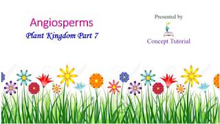 Angiosperms General Characters amp Life Cycle  Plant Kingdom Classification  Biology Class 11NEET [upl. by Kahn]