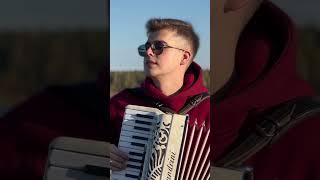 Beautiful song on the Accordion acordeon bésamemucho cover [upl. by Leirvag]