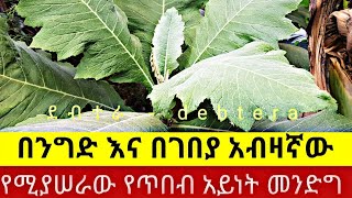 🛑ገበያ ላይ ትልቅ ተጽእኖ የሚፈጥር ይህን የሚያሰሩ ሰዎች ገበያቸው እንዲደራ የሚያደርግ ጥበብ  መንድግ [upl. by Atilegna538]