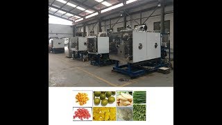 Industrial Fruit Vegetable and Food Freeze Dryer [upl. by Elbart]