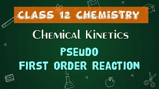 Pseudo first order reaction  Chemical Kinetics  12th Chemistry  In Tamil [upl. by Luther]