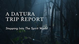 A Datura Trip Report  Stepping Into The Spirit World [upl. by Ronyam874]