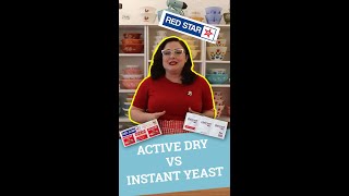 Yeast 101 Active Dry vs Instant Yeast [upl. by Eluk]