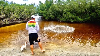 Catching our Food with a Big Net on an Island and Cooking it Straight out of the Water [upl. by Dolhenty]