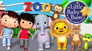 Zoo Song  Animal Song  Plus Lots More Nursery Rhymes  From LittleBabyBum [upl. by Eiromem]