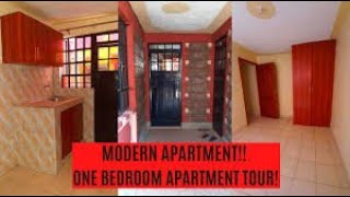 WOW BEAUTIFUL ONE BEDROOM APARTMENT TO LET AT RUAI BYPASS  SHS12K ONLY [upl. by Yevoc]