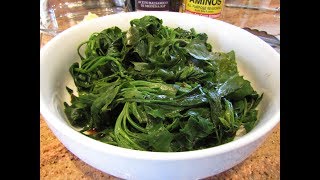 Foraging and Preparing LambsQuarter Greens [upl. by Eimorej]