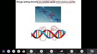 Medicinal 3 Antineoplastic agents Part 1 [upl. by Inahs]