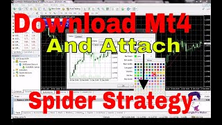 How to Download Mt4 Metatrader4 and attach spider indicator 2019 [upl. by Giarc]