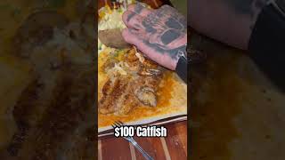 100 cat fish filet with the crab oyster and shrimp topping this stuff is amazing Cajun seasoning [upl. by Jorey]