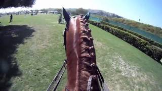 GoPro Horse Show Jumping [upl. by Apostles743]