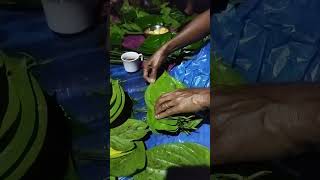 Tympew Khasi Betel plant Paan paan betelleaf leaf agriculture forest trees shortvideo [upl. by Saimon]