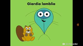 Giardia lamblia Intestinal flagellate داء الجيارديات [upl. by Lashonda563]