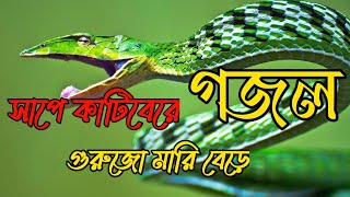 সাপে কাটিবেরে গুরজো মারিবেরে কঠিন আজাব হইবে শোনো বেনামাজির কবরে2022 [upl. by Sutherland687]