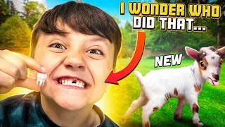 Got New Goats amp then Shawns TOOTH got PULLED out 🦷🦶 FV Family Farm Vlog [upl. by Rosenstein911]