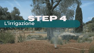 Come Piantare un Prato Alternativo  Step 4 L irrigazione [upl. by Enomys332]