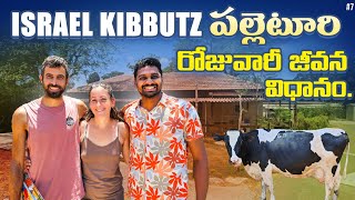 kibbutz Village Daily Life in Israel 🇮🇱  Uma Telugu Traveller [upl. by Seaman]