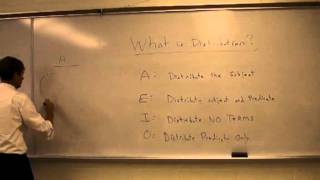 What is Distribution in Categorical Syllogisms [upl. by Marshal224]