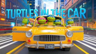 Turtles in the car  Kids songs in English  English kids learning [upl. by Clara]