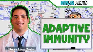 Immunology  Adaptive Immunity [upl. by Oirtemed205]