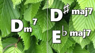 Dm7 to Ebmaj7 Dmaj7 Backing Track [upl. by Dnomrej562]