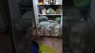 My fridge organisation [upl. by Hedva]