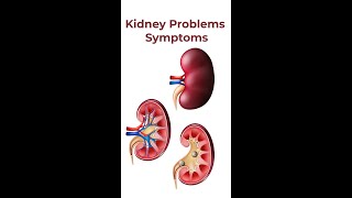 How to Know Kidney Problem  Kidney Problem  Kidney Problems Symptoms English [upl. by Eiluj]