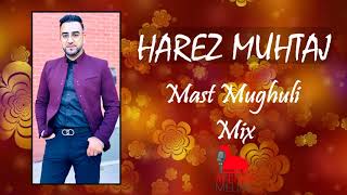 Harez Muhtaj  Eshqe Man  Aye Shokh  Nabat MAST MUGHULI MIX 2021 [upl. by Aicele]