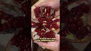 Opening a Pomegranate STRANGER THINGS Edition Spoon vs Water pomegranate pomegranateseeds [upl. by Nnayllek]