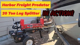 Harbor Freight Predator 20 ton Log Splitter in Action [upl. by Eibbed875]