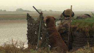 Wildfowling  an introduction [upl. by Sivraj]