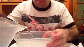 how to hatch killifish  part 1 [upl. by Llerrut]