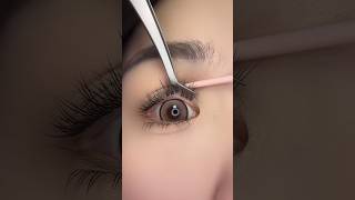 Eyelashes Makeup Hacks Beauty Tips eyelashes [upl. by Oneal228]