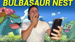 Bulbasaur Nest  Pokémon Go  Cluster Spawn [upl. by Ajnot]