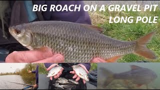 BIG ROACH FISHING ON A GRAVEL PIT Long Pole Deep Roach Fishing Natural Lake For Roach In March [upl. by Heman]