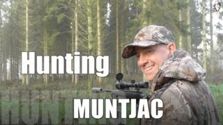 Muntjac Hunt in Spring April 2016 [upl. by Puduns]