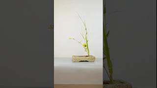 Grass Decoration Ideas satisfying flowerdesign [upl. by Keisling]