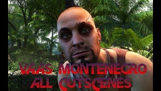 Far Cry 3  Vaas All cutscenes [upl. by Rashidi]